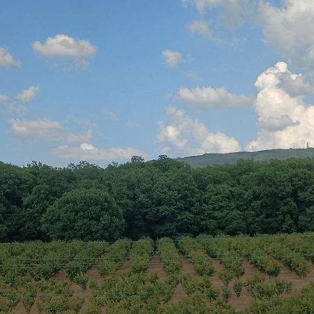 Il Sartore Vetralla Εξωτερικό φωτογραφία