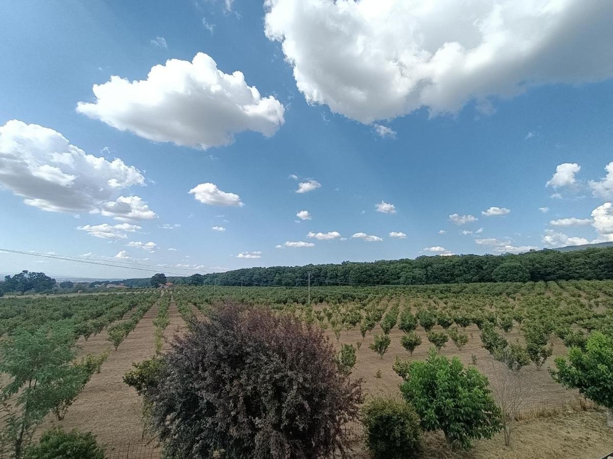 Il Sartore Vetralla Εξωτερικό φωτογραφία
